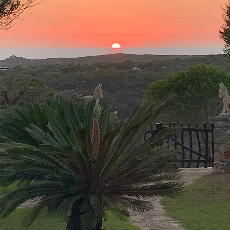 La Sarra Misia Villa *