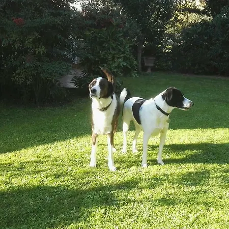 La Sarra Misia *