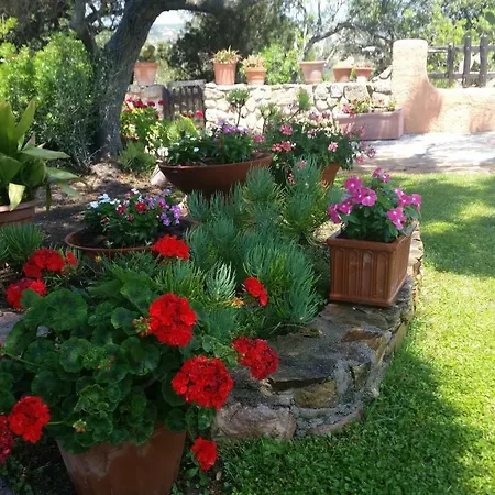 La Sarra Misia Villa *